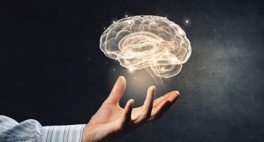Curso de Neuromanagement para la Comunicación Efectiva
