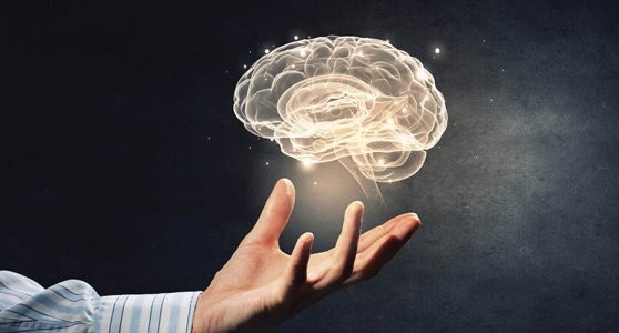 Cursos Curso de Neuromanagement para la Comunicación Efectiva